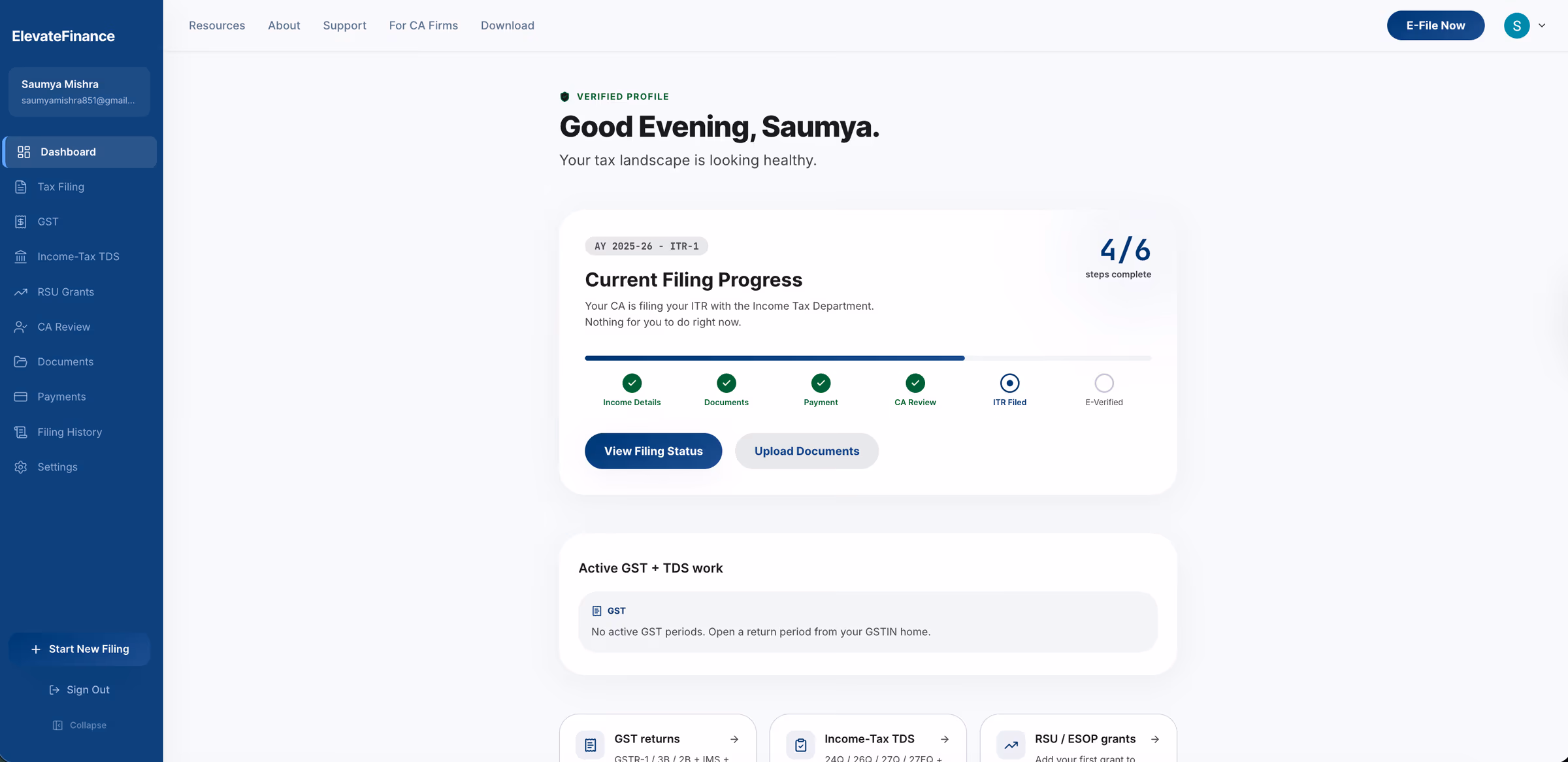 ElevateFinance customer dashboard showing filing progress and past filings